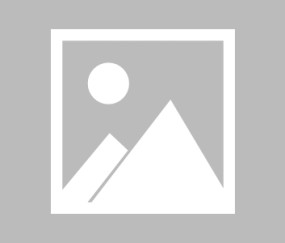 九游游戏-关键时刻崭露头角，胜利之路越来越清晰的简单介绍